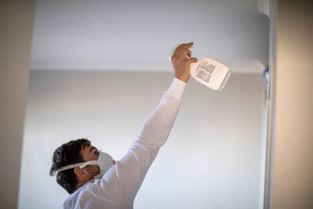 Best Mold Cleaning Services  in Attleboro, MA