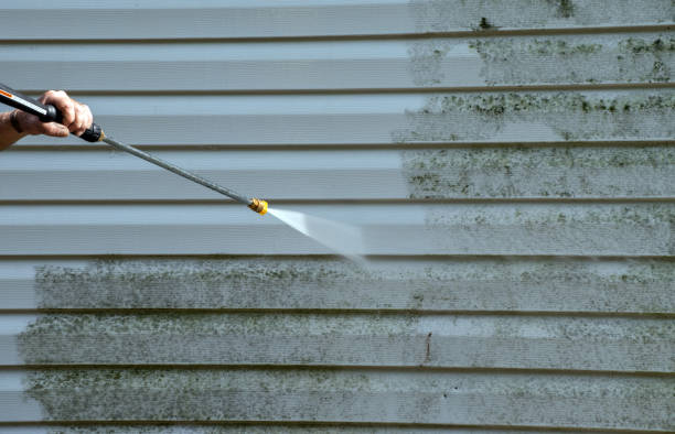 Professional Mold Removal in Attleboro, MA