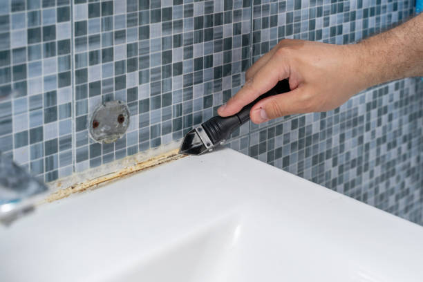 Best Black Mold Removal  in Attleboro, MA